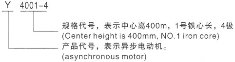 西安泰富西玛Y系列(H355-1000)高压Y6302-6/1800KW三相异步电机型号说明