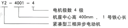 YR系列(H355-1000)高压Y6302-6/1800KW三相异步电机西安西玛电机型号说明